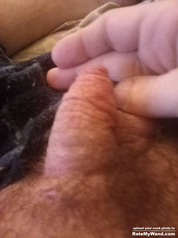 Who likes a small penis? - Rate My Wand