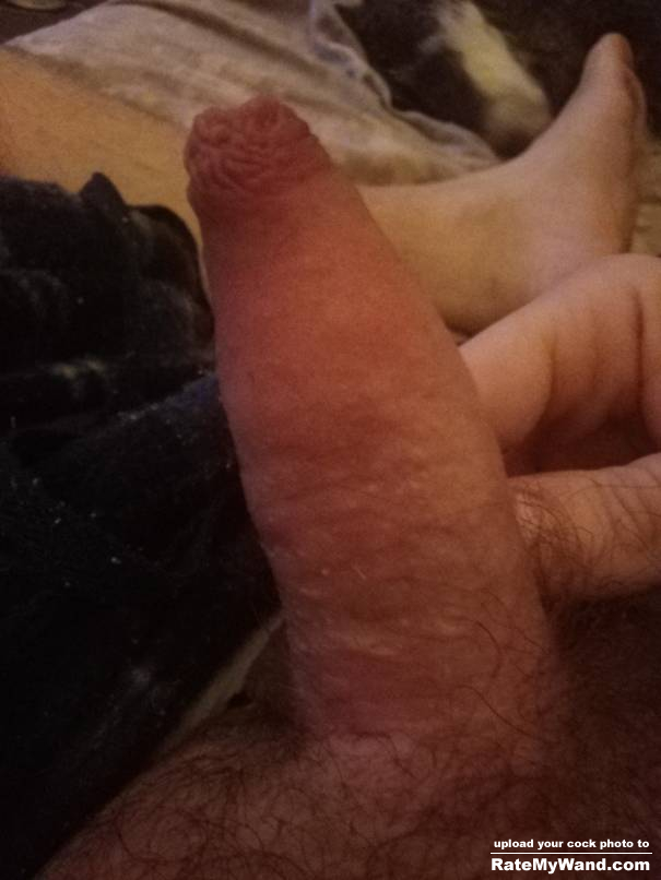 Am I too small or would you let me put this in your sexy pussy? - Rate My Wand