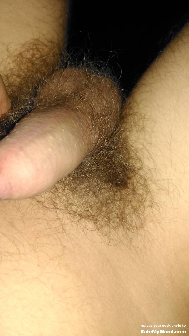 Who likes young cock ? :) - Rate My Wand