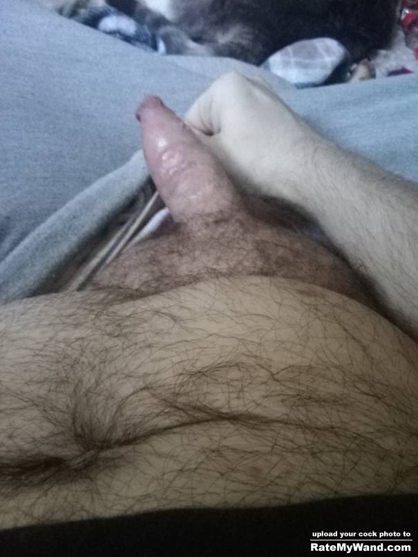 Would it give you any pleasure if I were too put this in your pussy? - Rate My Wand