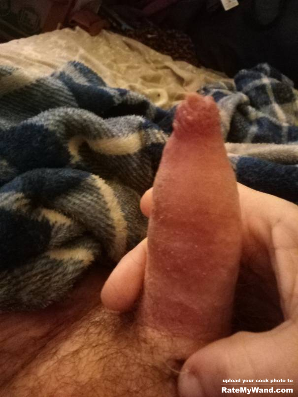 Should I stop exposing my penis on here? - Rate My Wand