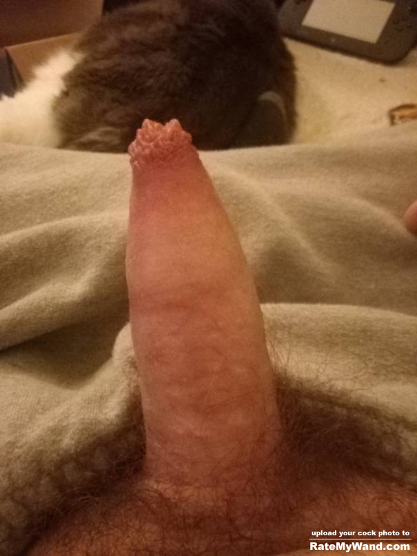 Is my dick too small? - Rate My Wand
