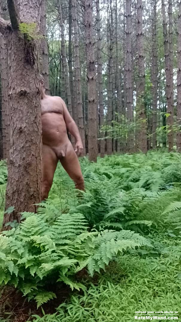 In the woods looking for cock!!! - Rate My Wand