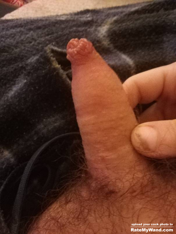 Small hard penis - Rate My Wand