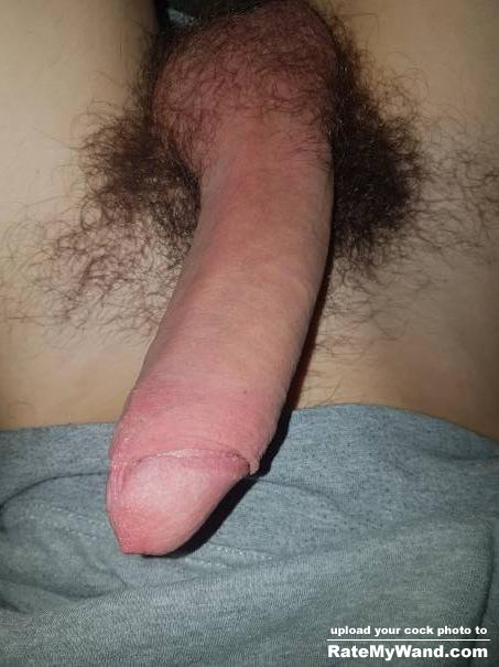 Erected dick ca. 7 inch - Rate My Wand