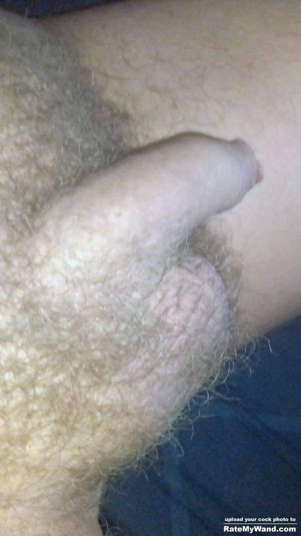 Hairy dick - Rate My Wand